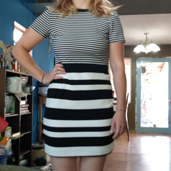 Loft dress - Picture 5 of 5